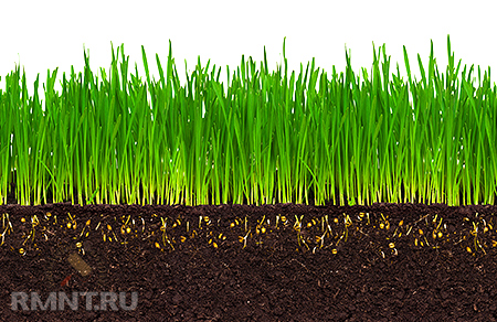 ������������ ����������. ������ ��������� ����� �������������� � ���������