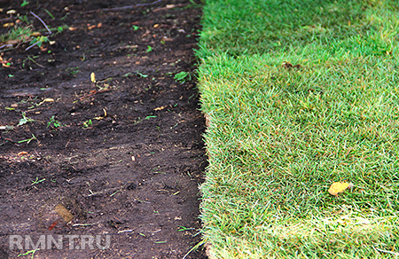 ������������ ����������. ������ ��������� ����� �������������� � ���������