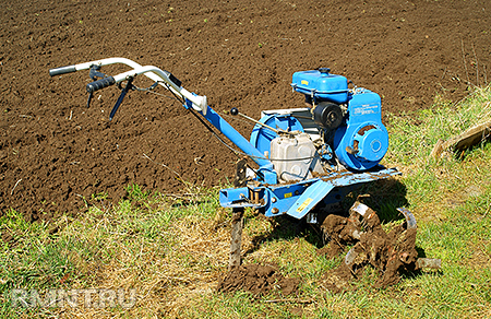 ������������ ����������. ������ ��������� ����� �������������� � ���������