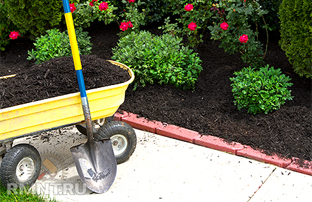 ������������ ����������. ������ ��������� ����� �������������� � ���������