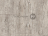   Lino HOME NELSON  - OAK ANDANTE 003 (2.5 )