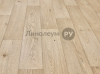  LiNO HOME ECONOM  -  796 (2.5 )