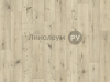 Линолеум полукоммерческий MAGNATEX Дизайн - TEXTiLE BELFORT OAK 533 (4.0 м)