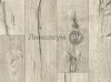   Leoline TEXPRO  - HUNTER OAK 891 (2.0 )