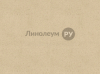 �������� ���������������� INTER ������ - SAND T34 (3.5 �)