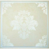 ������� Caveen H001(300�300)