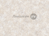   LiNO HOME ECONOM  -  531 (3.5 )