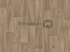   Lino HOME GOLF  -   543 (4.0 )