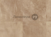     -  001 (4.0 )