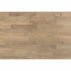   Focus Floor  