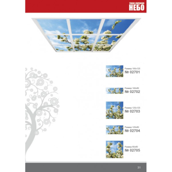 Фотовитражный потолок "Твое Личное Небо"027