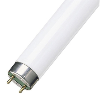 Люминесцентная лампа T8 Osram L 18 W/765 G13, 590mm СМ 4052899209084