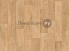  Lino HOME 20-0.2  -   5 (4.0 )