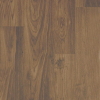 Орех промасленный