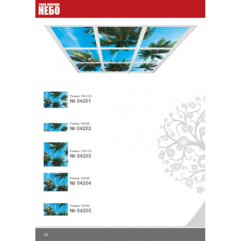 Фотовитражный потолок "Твое Личное Небо"042