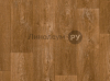   Lino HOME 26-0.2  -   2 (3.0 )