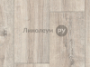 Линолеум бытовой Lino HOME 24-0.2 Дизайн - ДУБ ДЫМЧАТЫЙ 46 (3.5 м)
