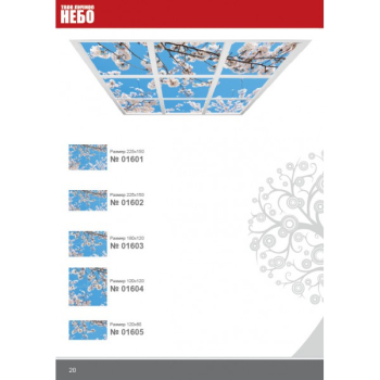 Фотовитражный потолок "Твое Личное Небо"016