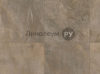     -  002 (2.5 )