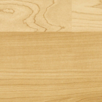 ламинат кронотекс,Клён мюрицкий