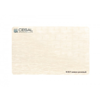 Кассета CESAL 30х30 B37