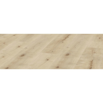 ламинат кронотекс,Береза золотая