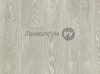 Линолеум полукоммерческий TEXTILE PHILOSOPHY Дизайн - ДУБ БЛАНШ 001 (3.0 м)