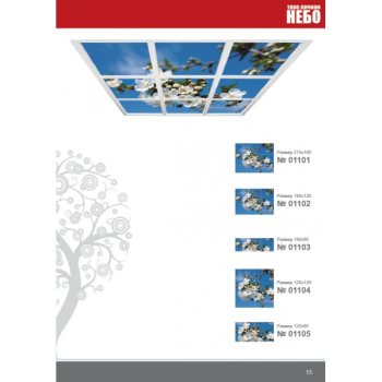 Фотовитражный потолок "Твое Личное Небо"011