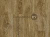   TEXTILE PHILOSOPHY  -   006 (4.0 )