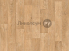   Lino HOME 45-0.3  -   5 (3.5 )
