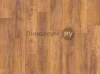 �������� ������� Lino HOME 26-0.2 ������ - ��� ������� 1 (4.0 �)