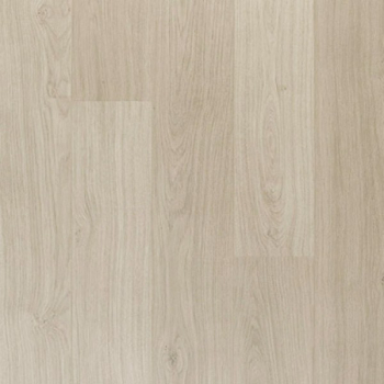 Дуб светло-серый лакированный