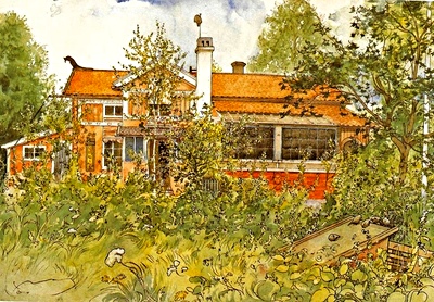 Современный каркасный дом