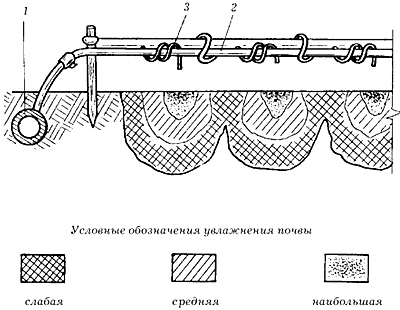 Как устроена система капельного орошения
