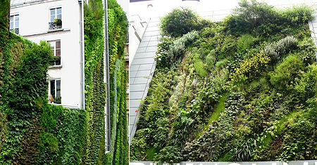 Вертикальные растительные стены и сады