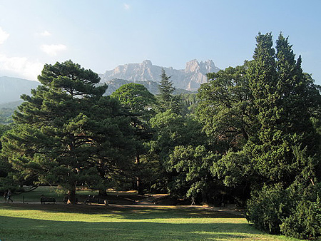 Алупкинский парк