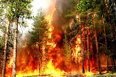 Режим ЧС введен в республике Тува в связи с распространением лесных пожаров