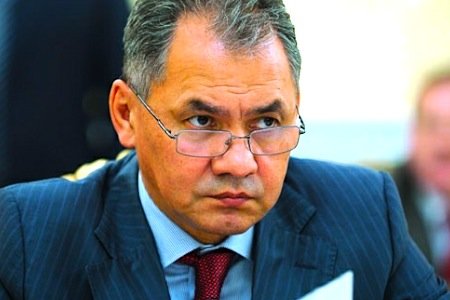 Сергей Шойгу возмущен ситуацией с вырубкой Цаговского леса