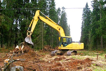 В Ленобласти проведут проверку по обоснованности строительства на территории Сиверского леса