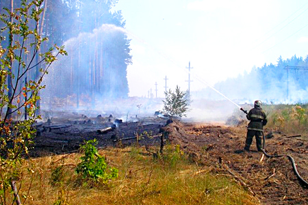 Продолжает сокращаться площадь пожаров в лесах Сибири