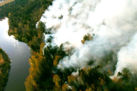 До 23 тысяч гектаров увеличилась площадь, охваченная лесными пожарами в Сибири
