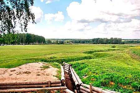 Очистить Бородино к празднованию 200-летия одноименной битвы не удастся