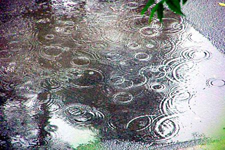 Дальневосточные районы России в опасности — надвигается тайфун «Болавен»