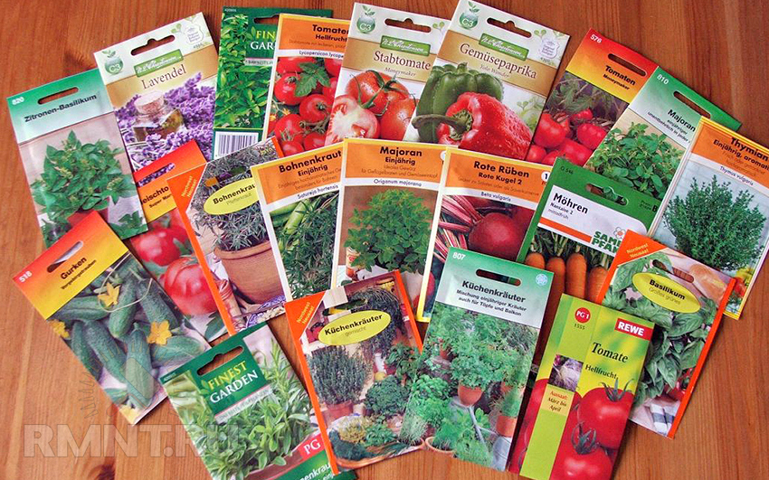 Как выбрать и купить семена